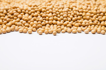 Soybeans for copy space on a white