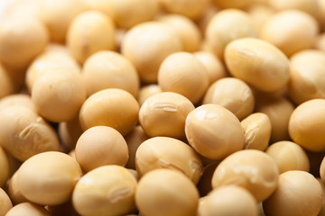 Soybeans background. Soya seed texture