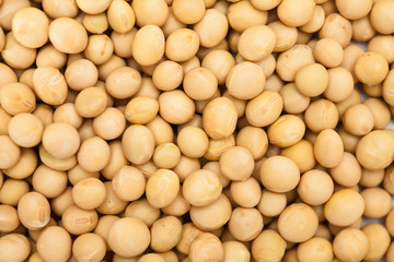 Soybeans background. Soya seed texture