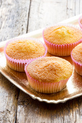Sweet donuts with icing sugar