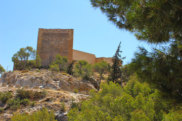 Fototapeta na wymiar Castillo de Novelda, Alicante