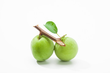 Green plum fruite with leaf on a whtie