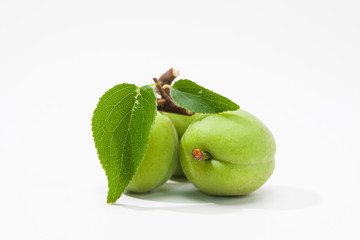 Green plum fruite with leaf on a whtie