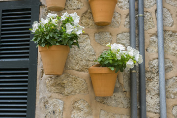 Pots hanging on the wall with flowers in the city of Valldemosa
