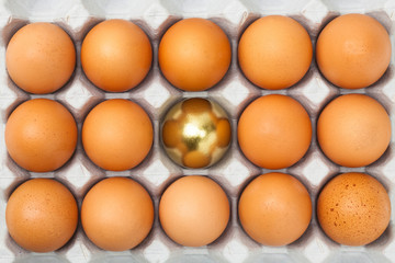 One Gold egg with a group of ordered