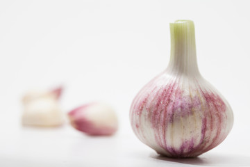 Garlic isolated on a white