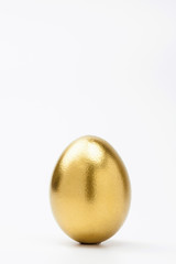One golden egg on white background