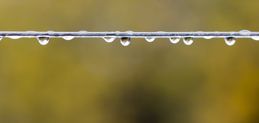 raindrops on wire. macro