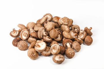 Group of Shiitake mushrooms 