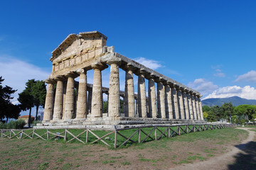 Fototapeta premium Ancient greek temple in Paestum, Italy.