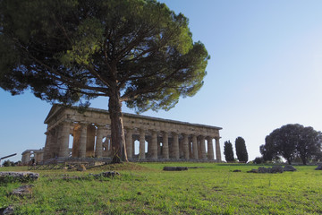 Ancient greek temple in Paestum, Italy.