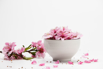 Obraz na płótnie Canvas Pink plum blossom flower in a white bowl 