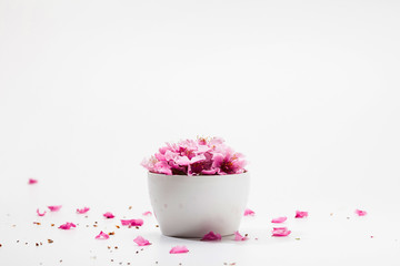 Pink plum blossom flower in a white bowl 