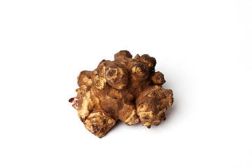 Jersalem Artichoke. Helianthus tuberosus 