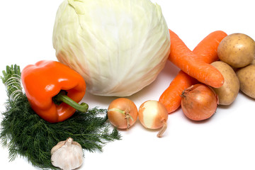 vegetables on white background