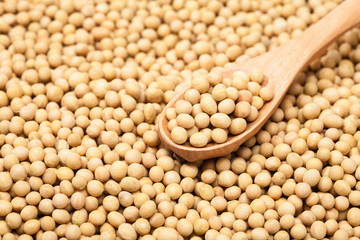 Soybeans and wood wpoon