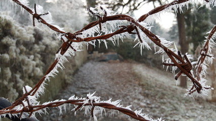 Eis und Stacheldraht