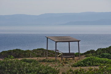 Canopy on the top of San Domino, in the Tremiti Islands