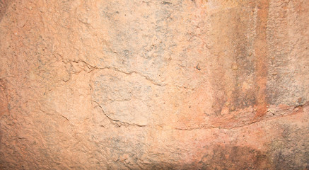 Fototapeta premium rock texture background from natural or park