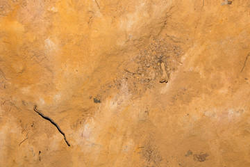 rock texture background from natural or park