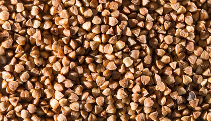 buckwheat as background