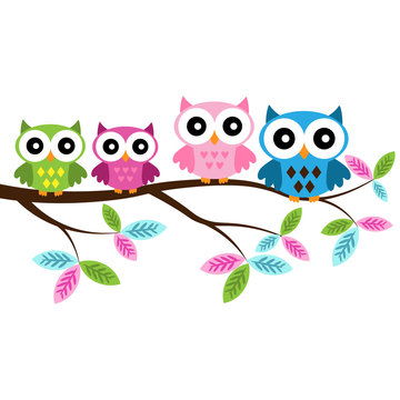Four colorful owls sitting on the branch on a white background