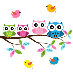Four colorful owls sitting on the branch and flying birds on a white background