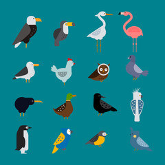 Birds vector set illustration isolated