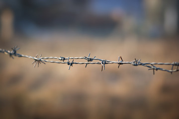 Barbed wire with shallow dept of field