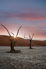 Sunrise on the famous petrified trees of namibian deadvlei.