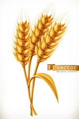 Ear of wheat. 3d vector icon