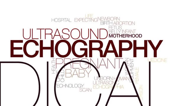 Echography animated word cloud. Kinetic typography.