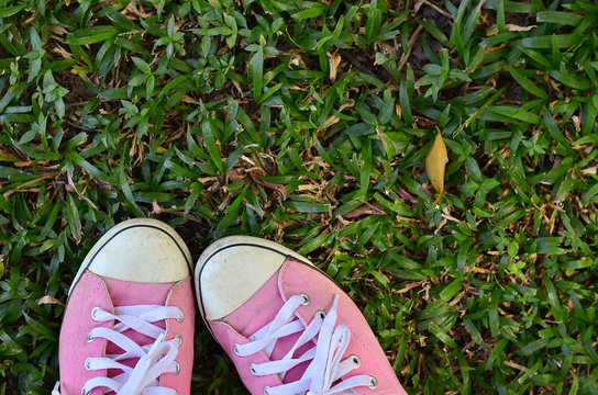  pink sneaker on an autumn leaf background.
