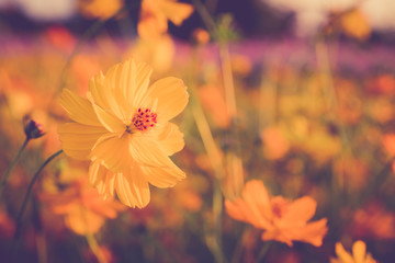 flower vintage style