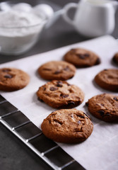 Freshly baked cookies on tray rack