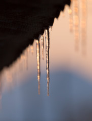 Obraz premium winter icicles on the sun dawn