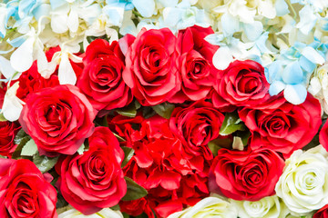 red roses and orchid background