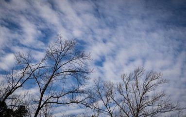 Obraz premium Dreamy sky