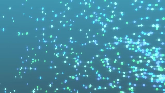 sexangle fly in loose