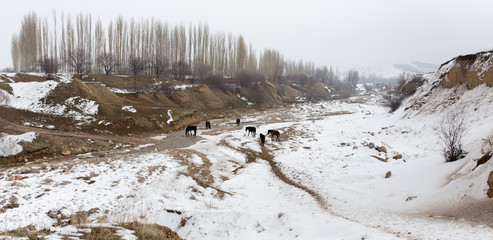 river in the winter mountains of Kazakhstan