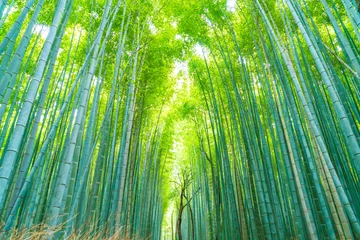 Deurstickers Pad naar bamboebos in Arashiyama in Kyoto. © topntp