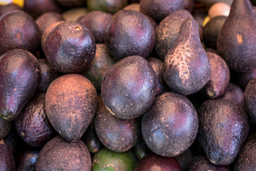 Close up of black avocados, ready to eat.