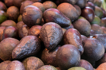 Close up of black avocados, ready to eat.
