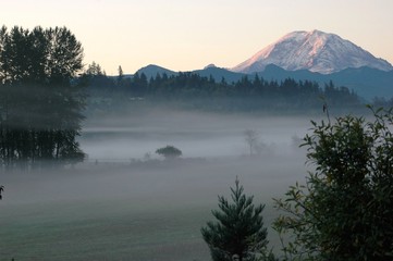 Fog on a field in front of Mount Ranier