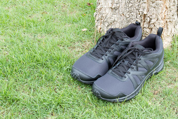 Running shoe color black on green grass.