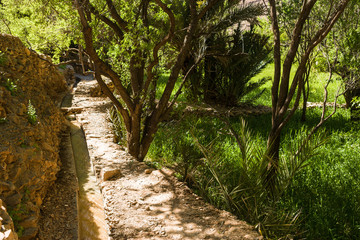 Irrigation at Amtoudi Id Aïsa, Morocco