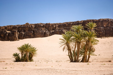 Wilderness at the N20 between Tarhjijt and Tata, Morocco