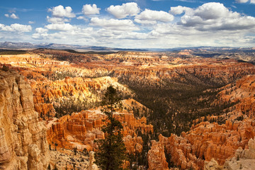 Fototapeta na wymiar Utah's Bryce Canyon National Park