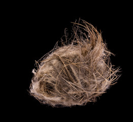 Close up old empty bird nest. Studio shot isolated on black