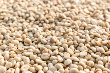 Pattern of coffee beans, Can use for background